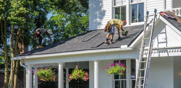 Roof Gutter Cleaning in Princess Anne, MD